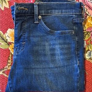 LIKE NEW- LUCKY BRAND Women's Skinny Jeans in Blue Denim